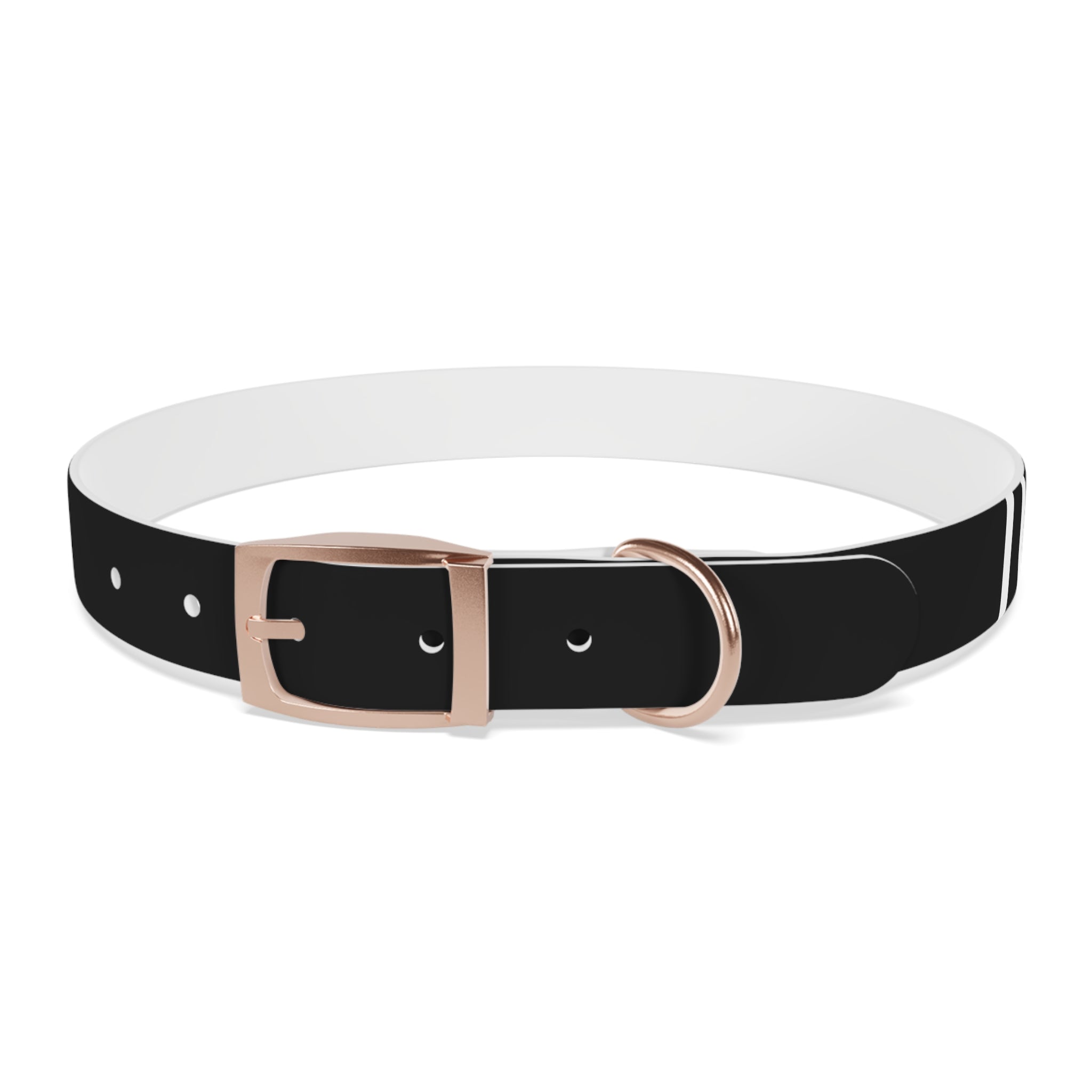 Dragonborn Dog Collar