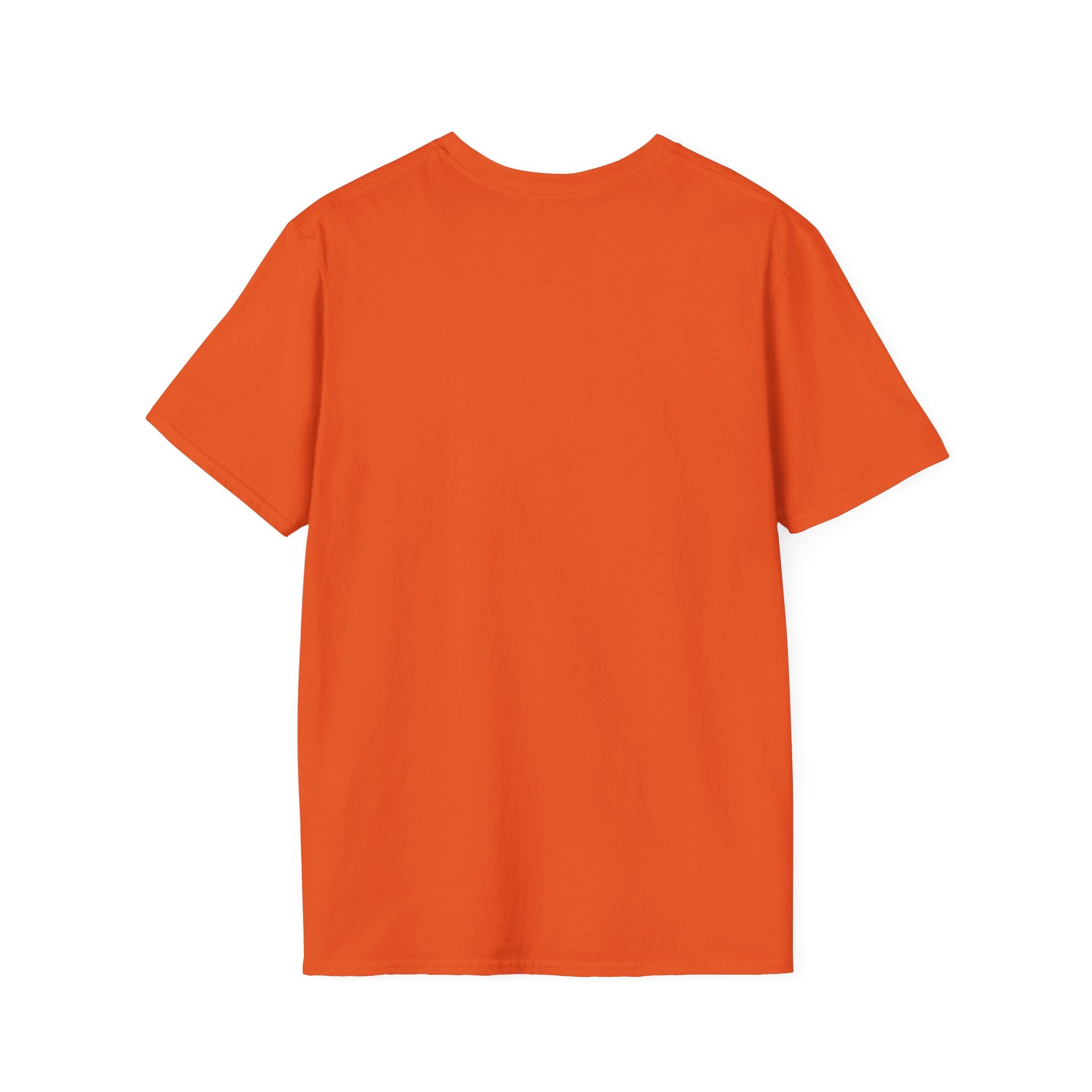 'The Age of Aggression' Unisex Softstyle T-Shirt