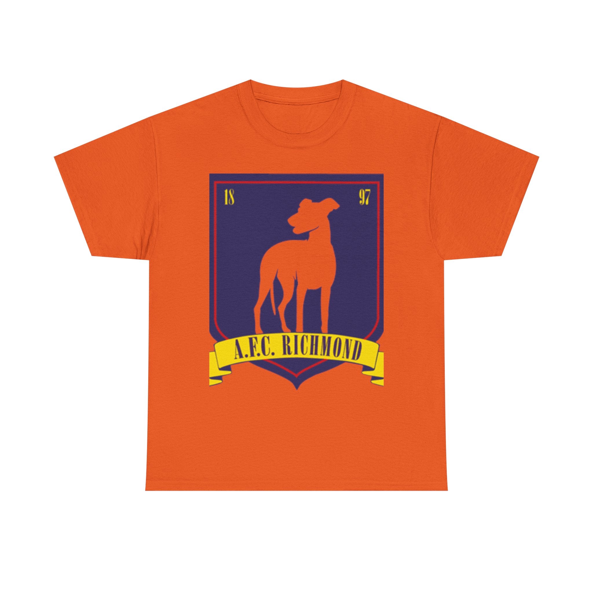 Football Fan Unisex Tee - Richmond AFC, Ted Lasso Design