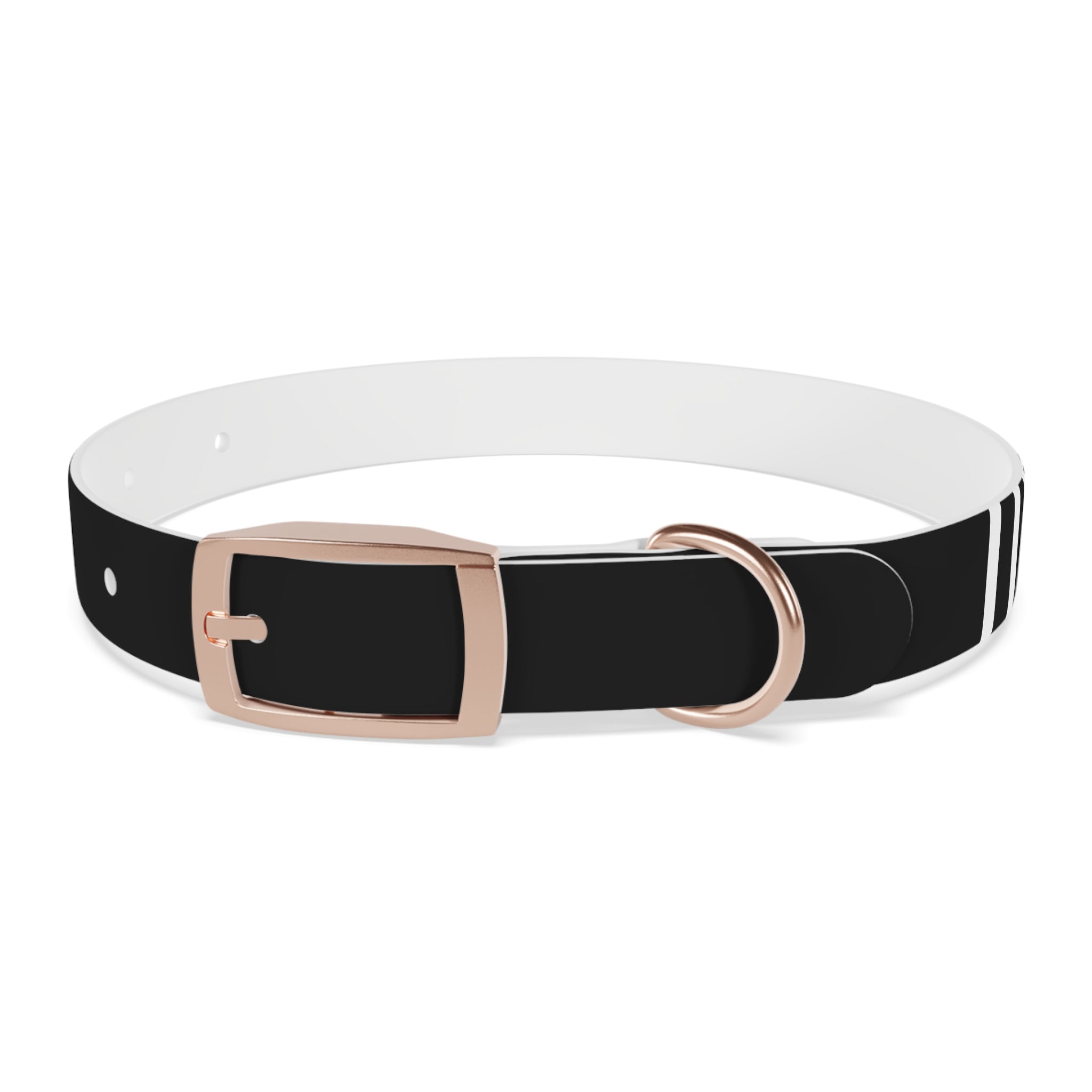Dragonborn Dog Collar