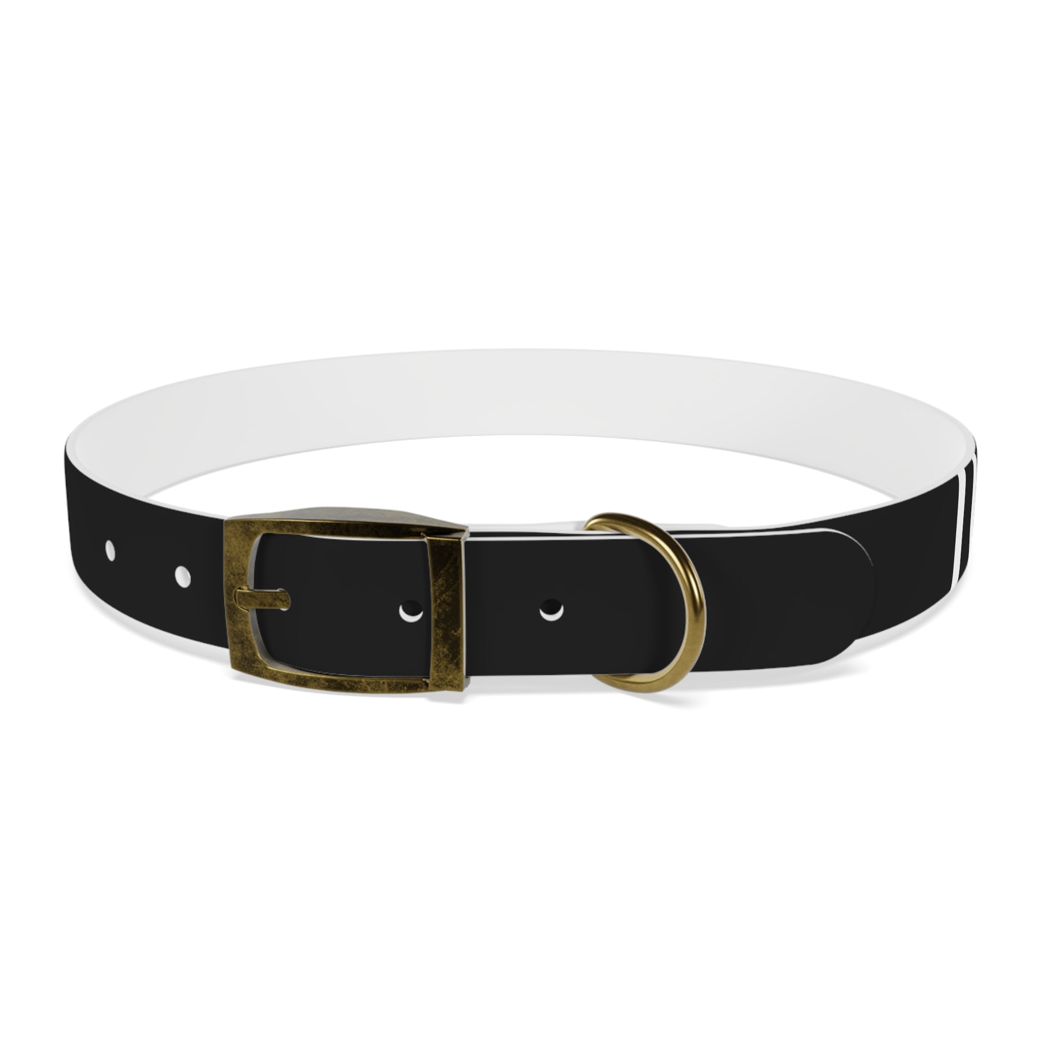 Dragonborn Dog Collar