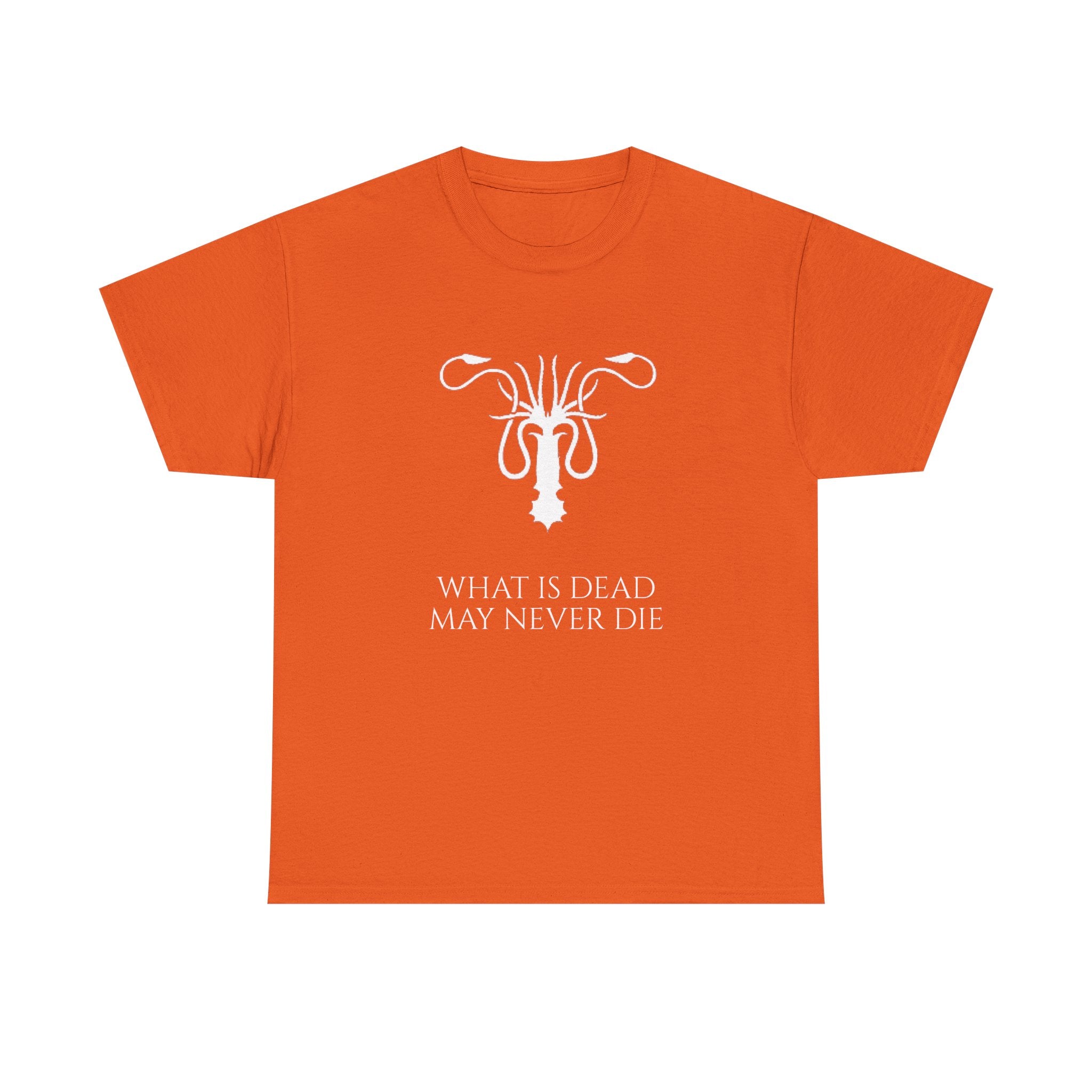 Game of Thrones inspired House Greyjoy Ironborn Unisex Heavy Cotton Tee