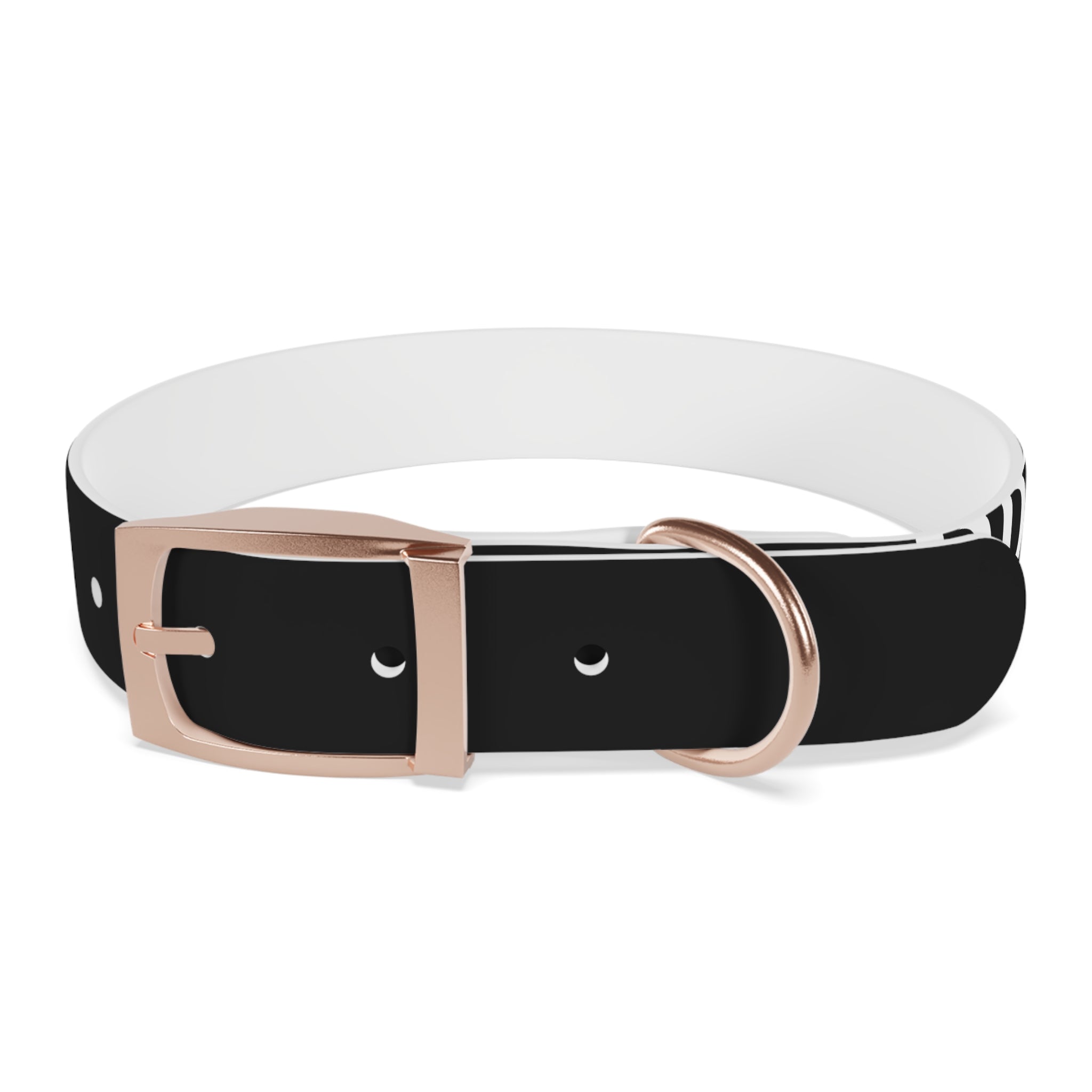 Dragonborn Dog Collar