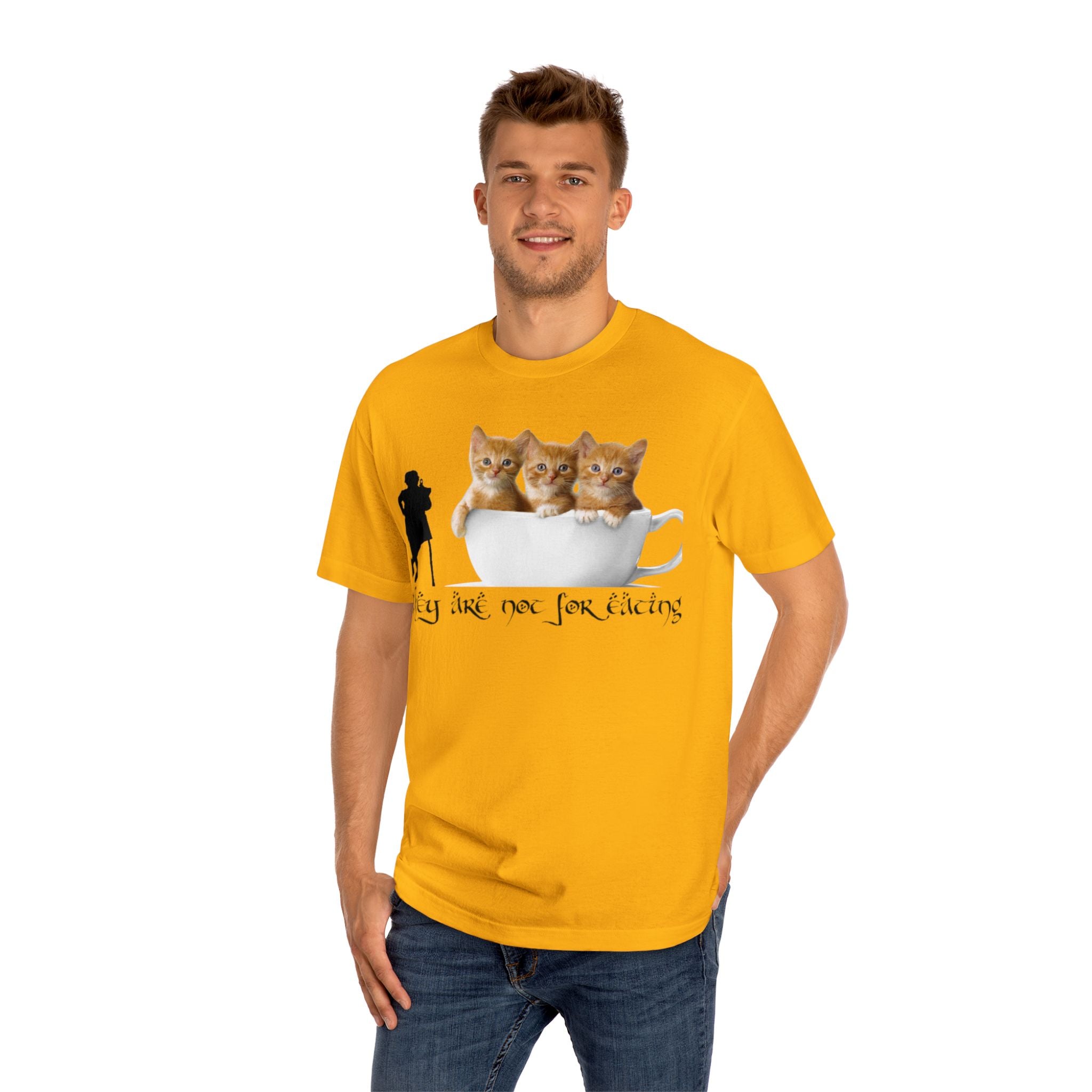 Lord of the Rings inspired Cute Kittens Funny Unisex Classic Tee