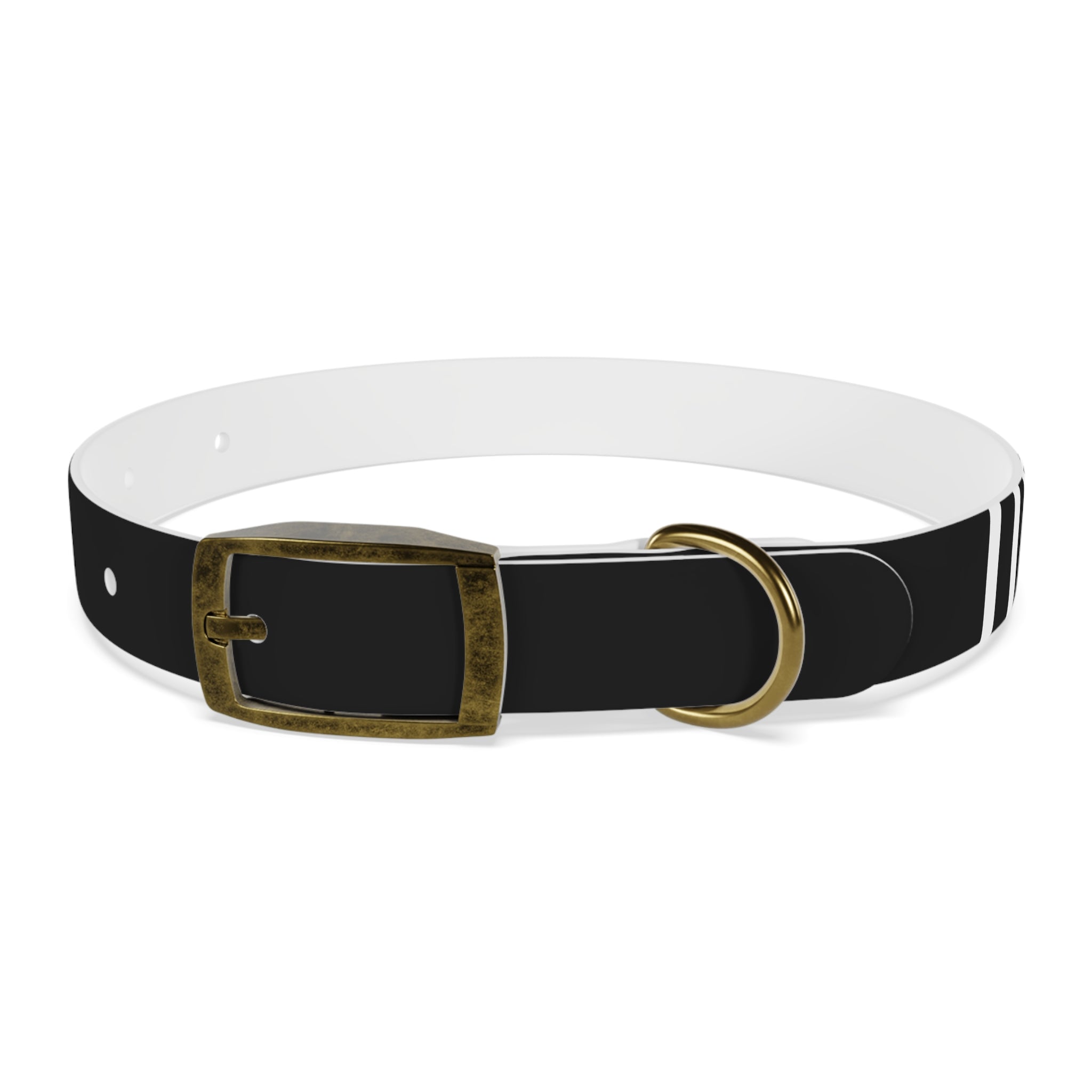 Dragonborn Dog Collar