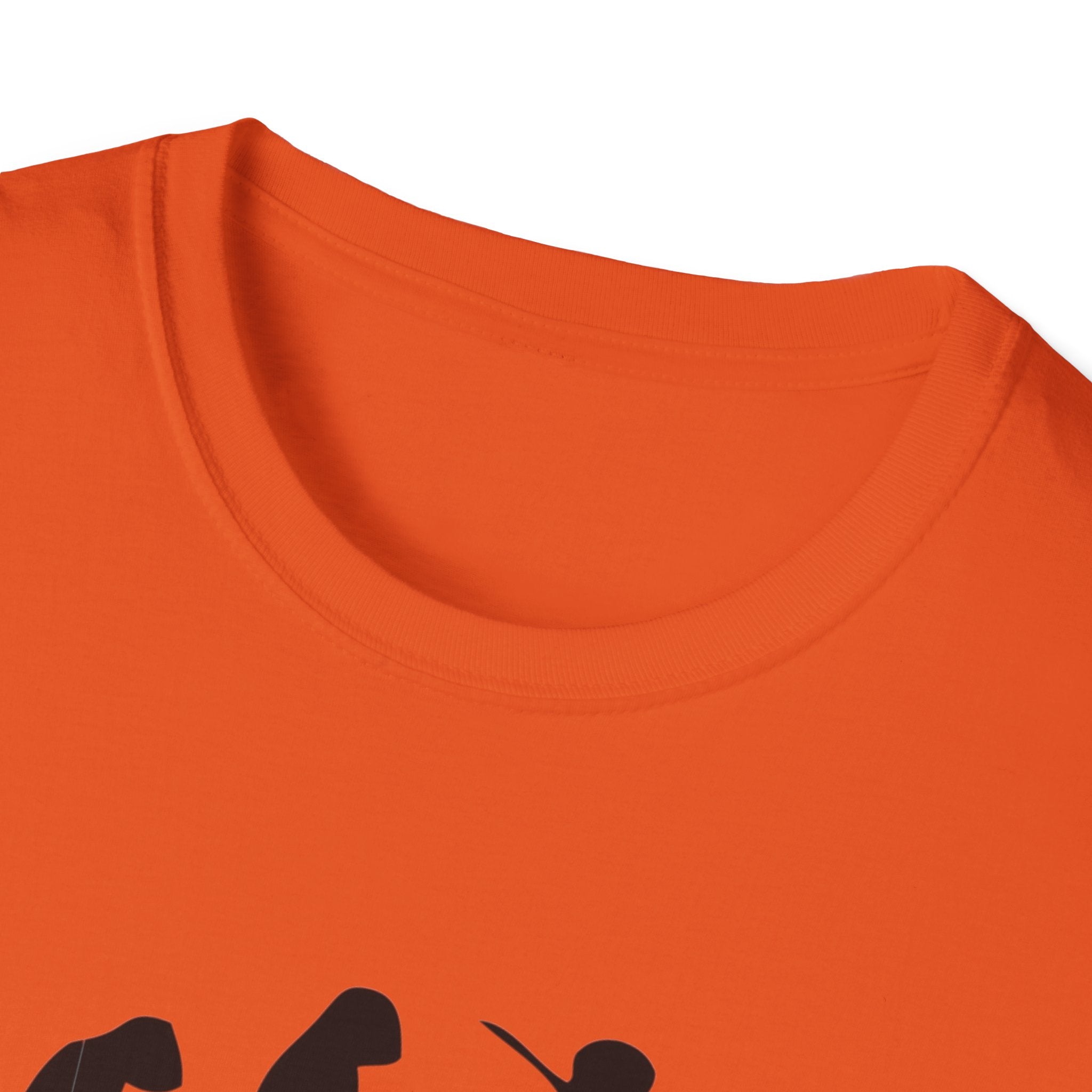Gandalf evolution Unisex Softstyle T-Shirt