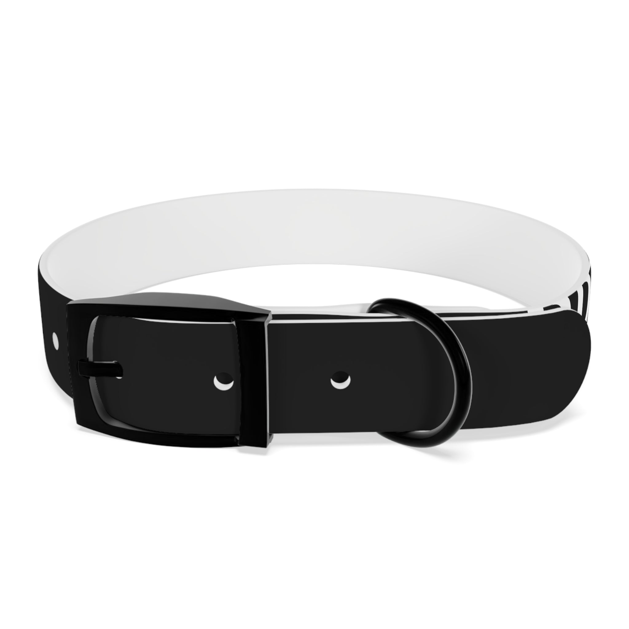 Dragonborn Dog Collar