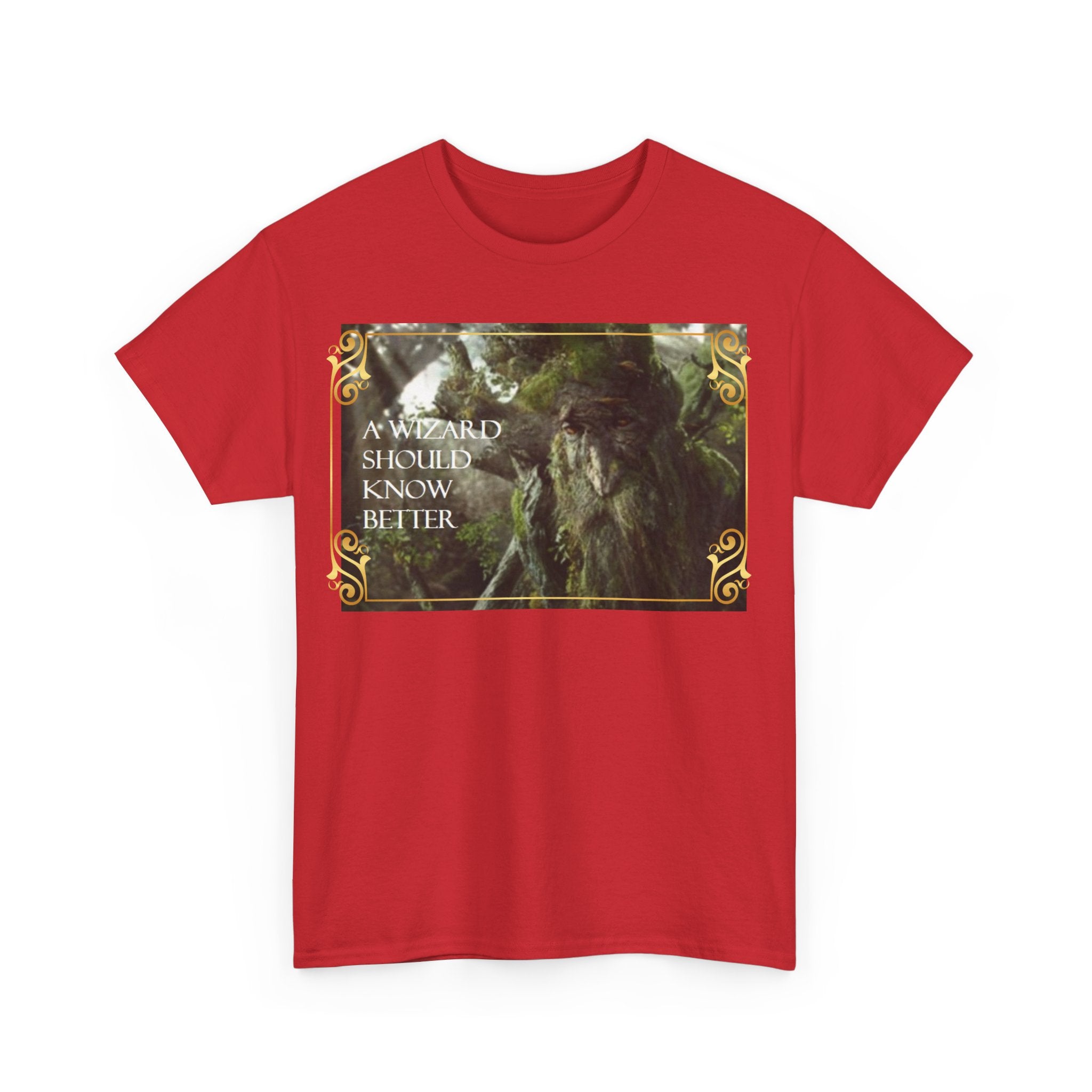 Lord of the rings Treebeard 'A wizard should know better' Funny Unisex Heavy Cotton Tee