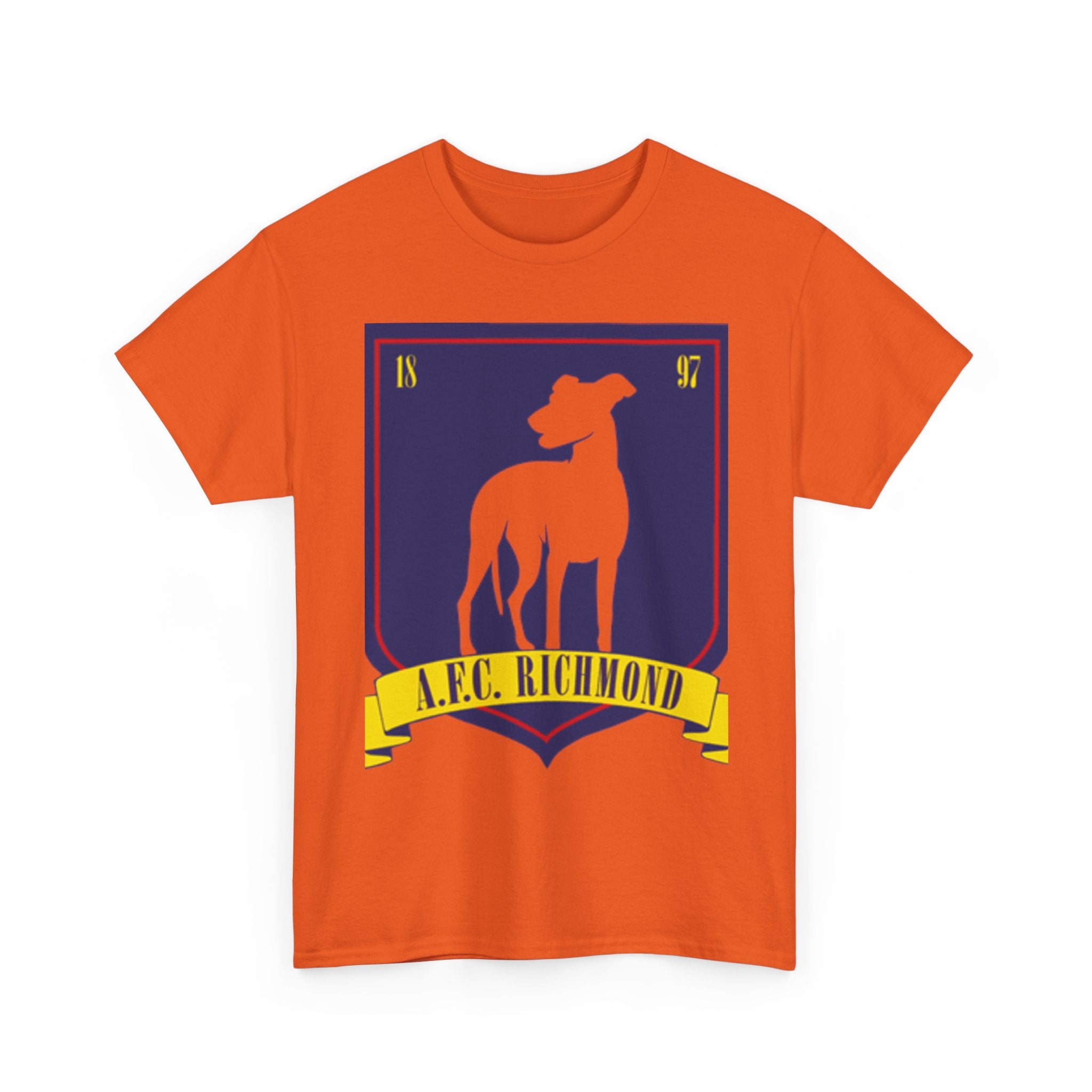 Football Fan Unisex Tee - Richmond AFC, Ted Lasso Design