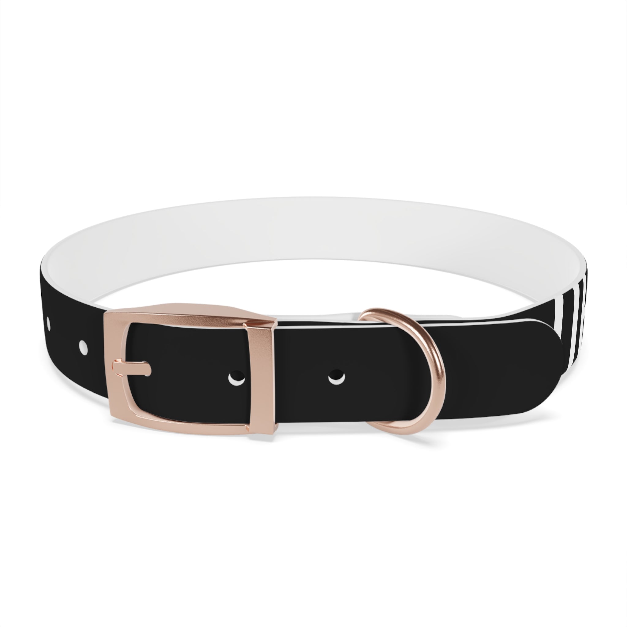 Dragonborn Dog Collar