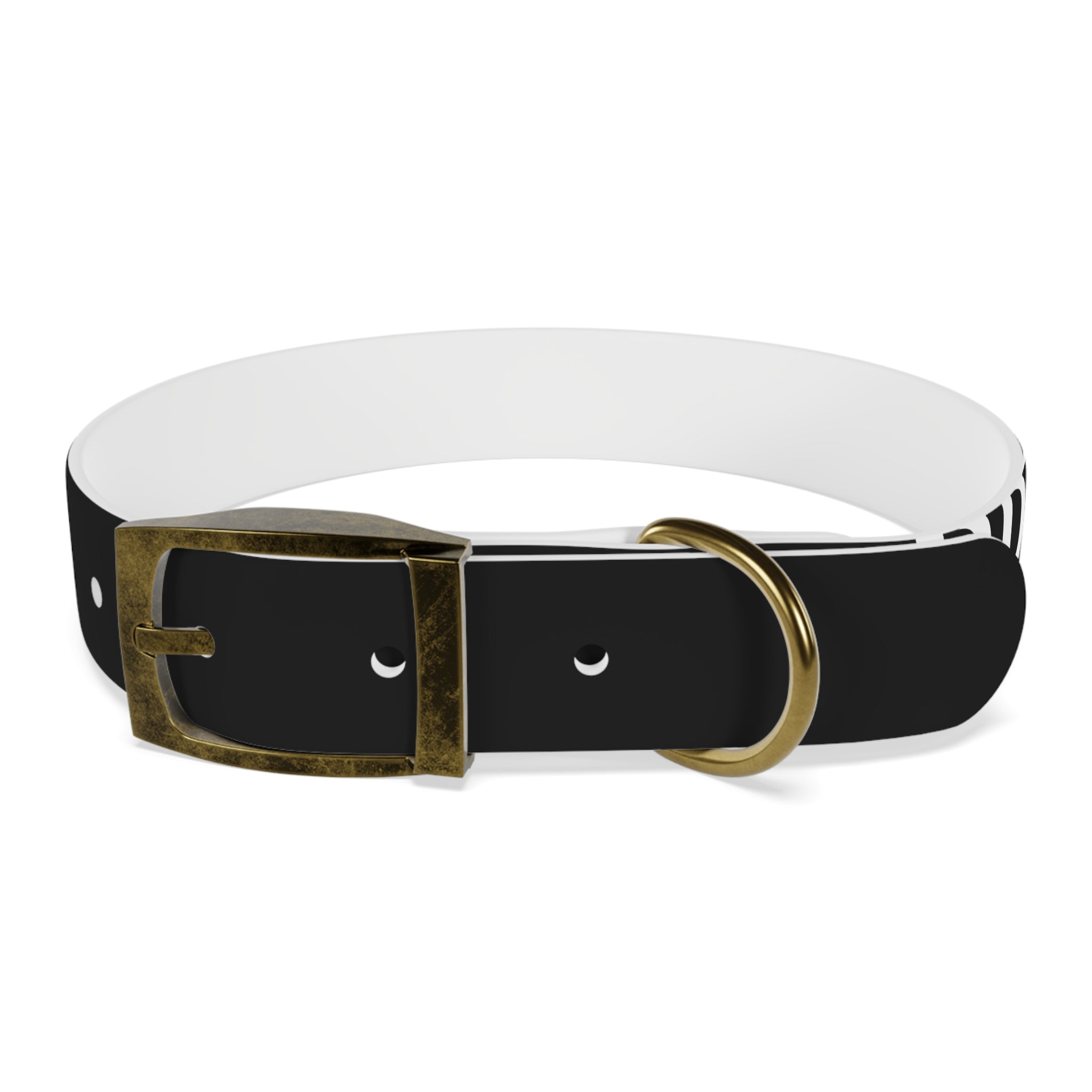 Dragonborn Dog Collar