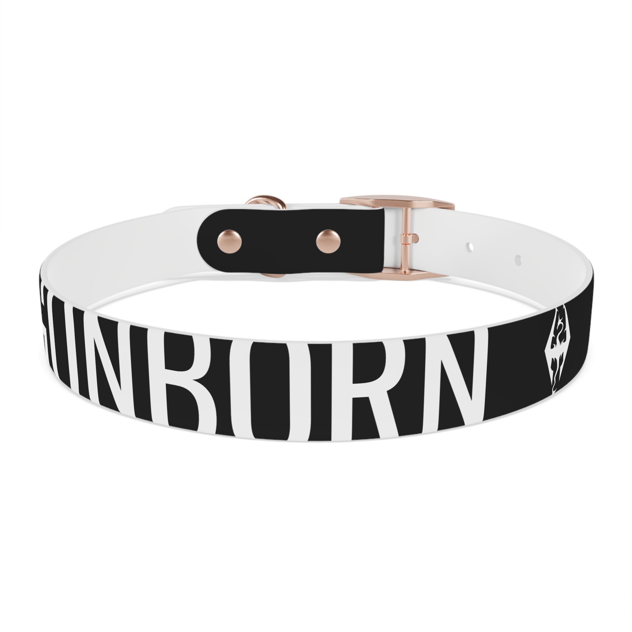 Dragonborn Dog Collar