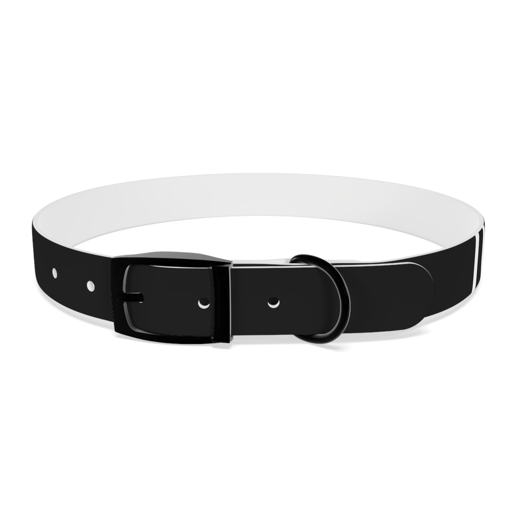 Dragonborn Dog Collar
