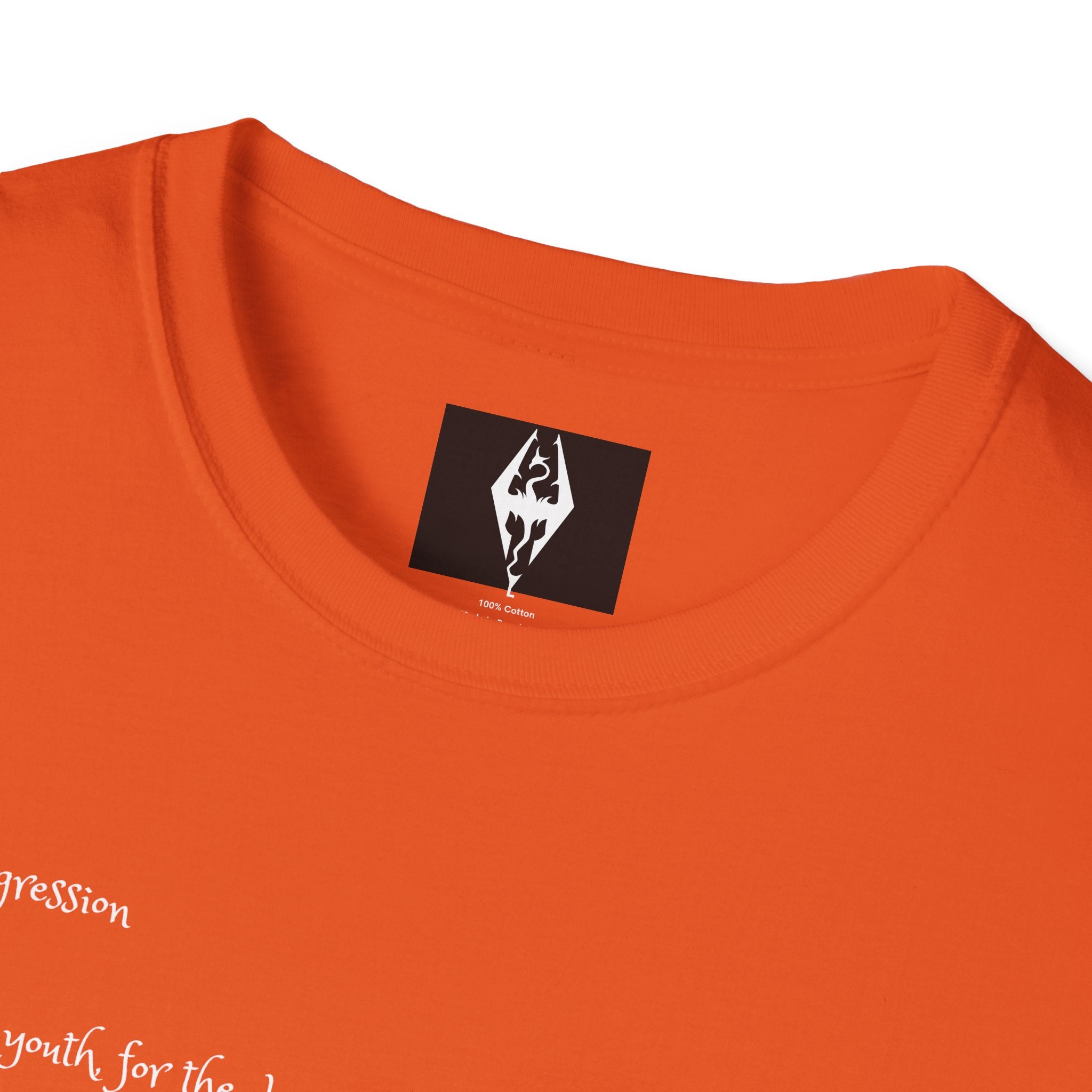 'The Age of Aggression' Unisex Softstyle T-Shirt
