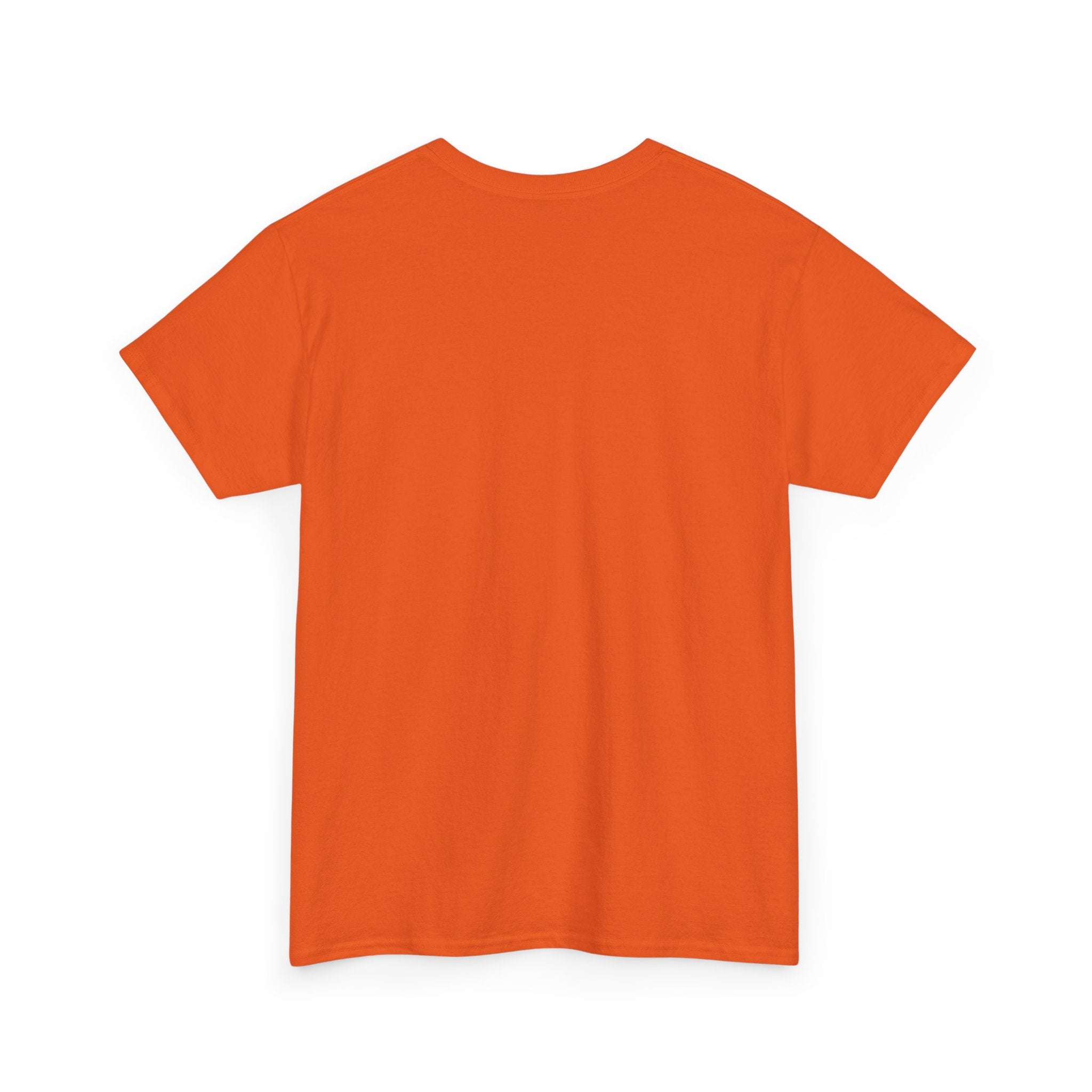 Football Fan Unisex Tee - Richmond AFC, Ted Lasso Design