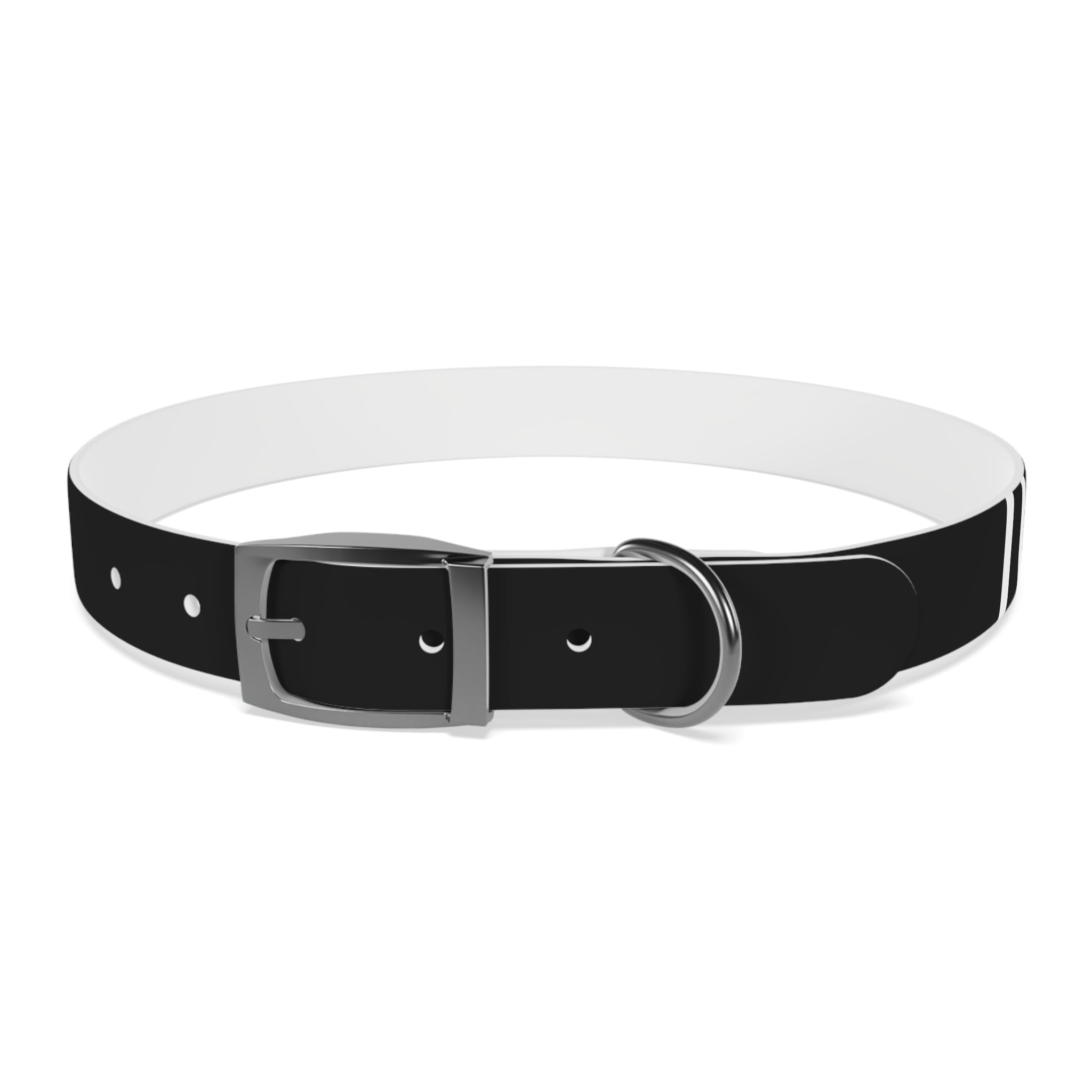 Dragonborn Dog Collar