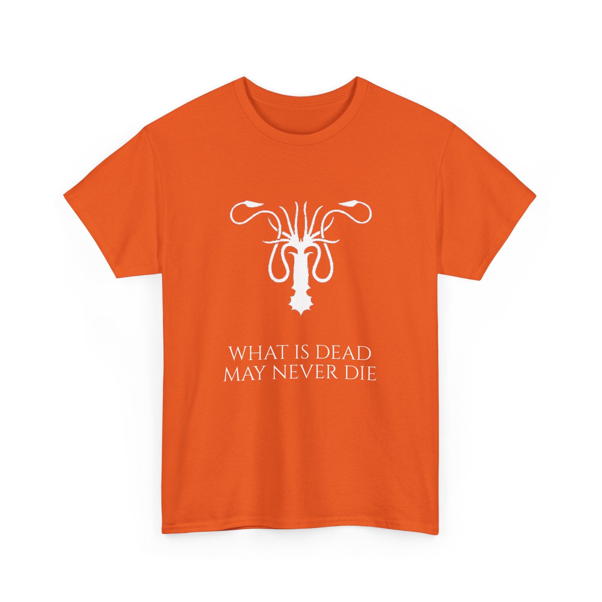 Game of Thrones inspired House Greyjoy Ironborn Unisex Heavy Cotton Tee