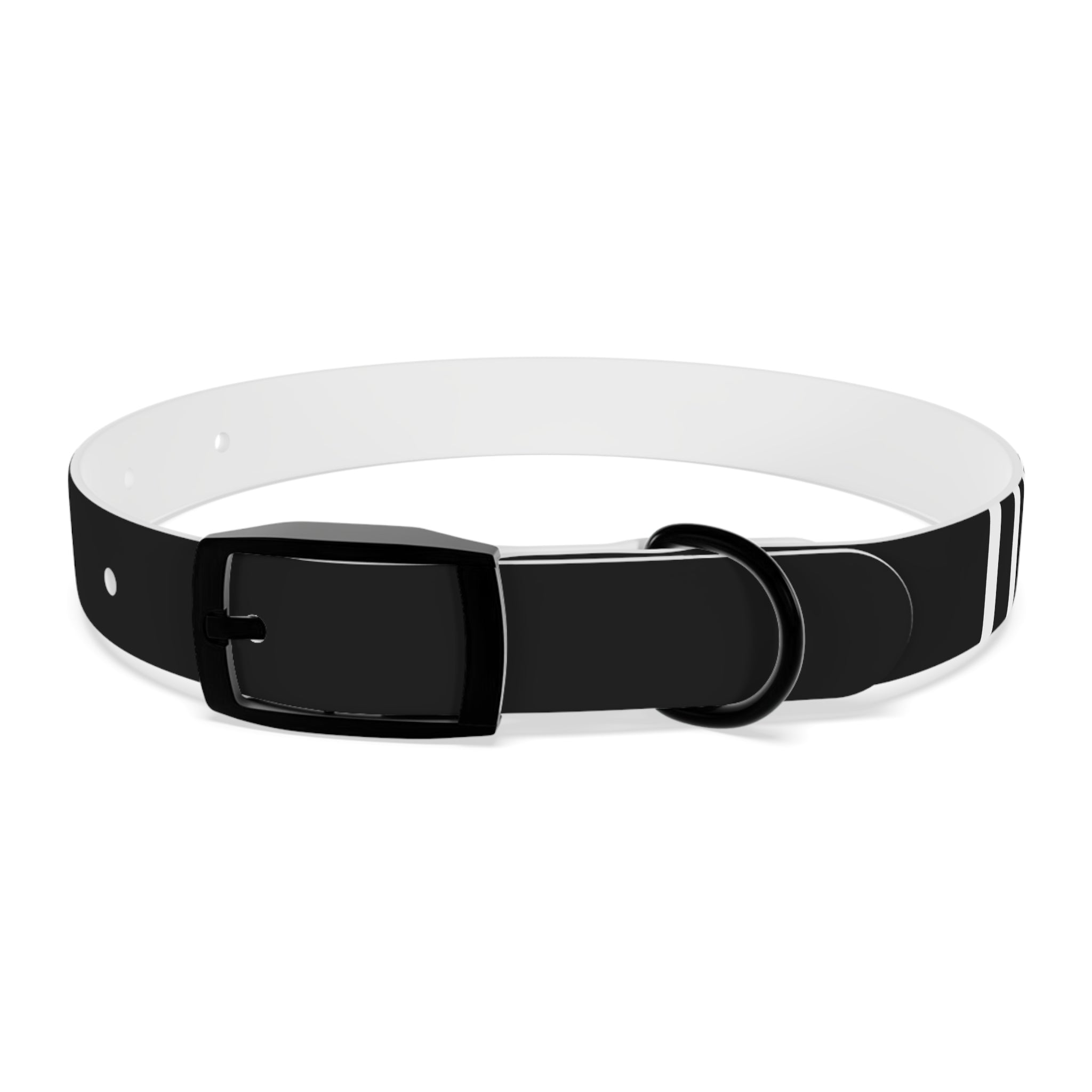 Dragonborn Dog Collar