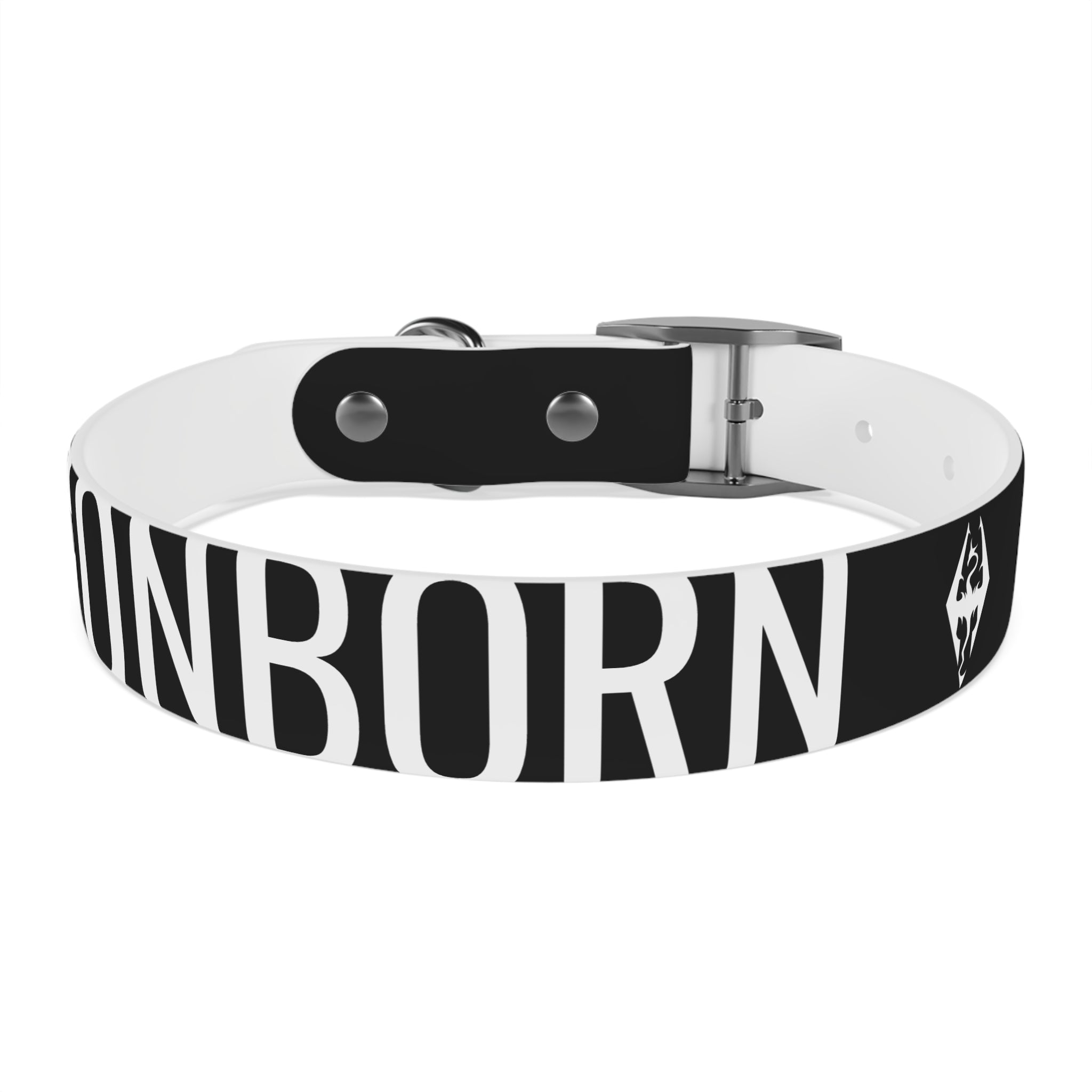 Dragonborn Dog Collar