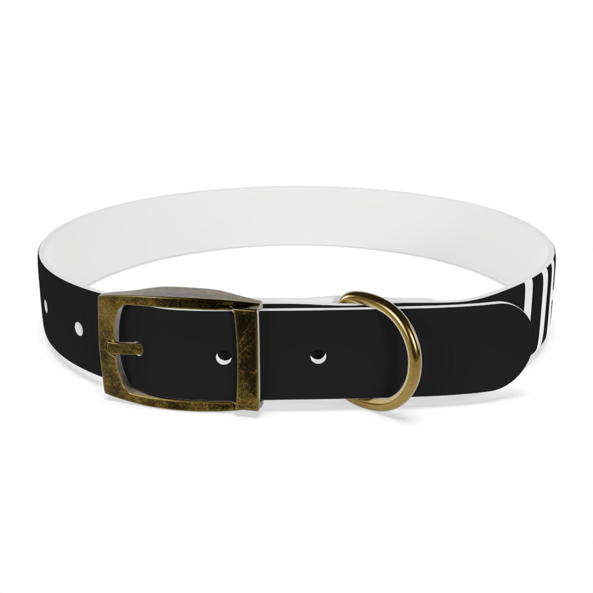 Dragonborn Dog Collar