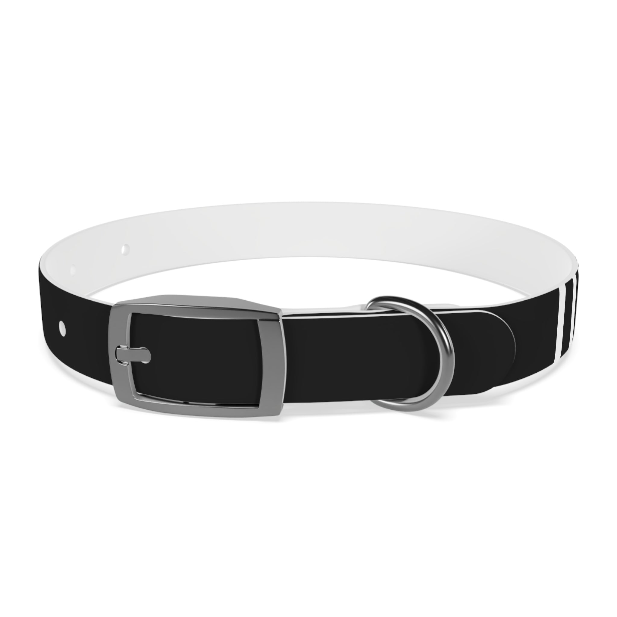Dragonborn Dog Collar