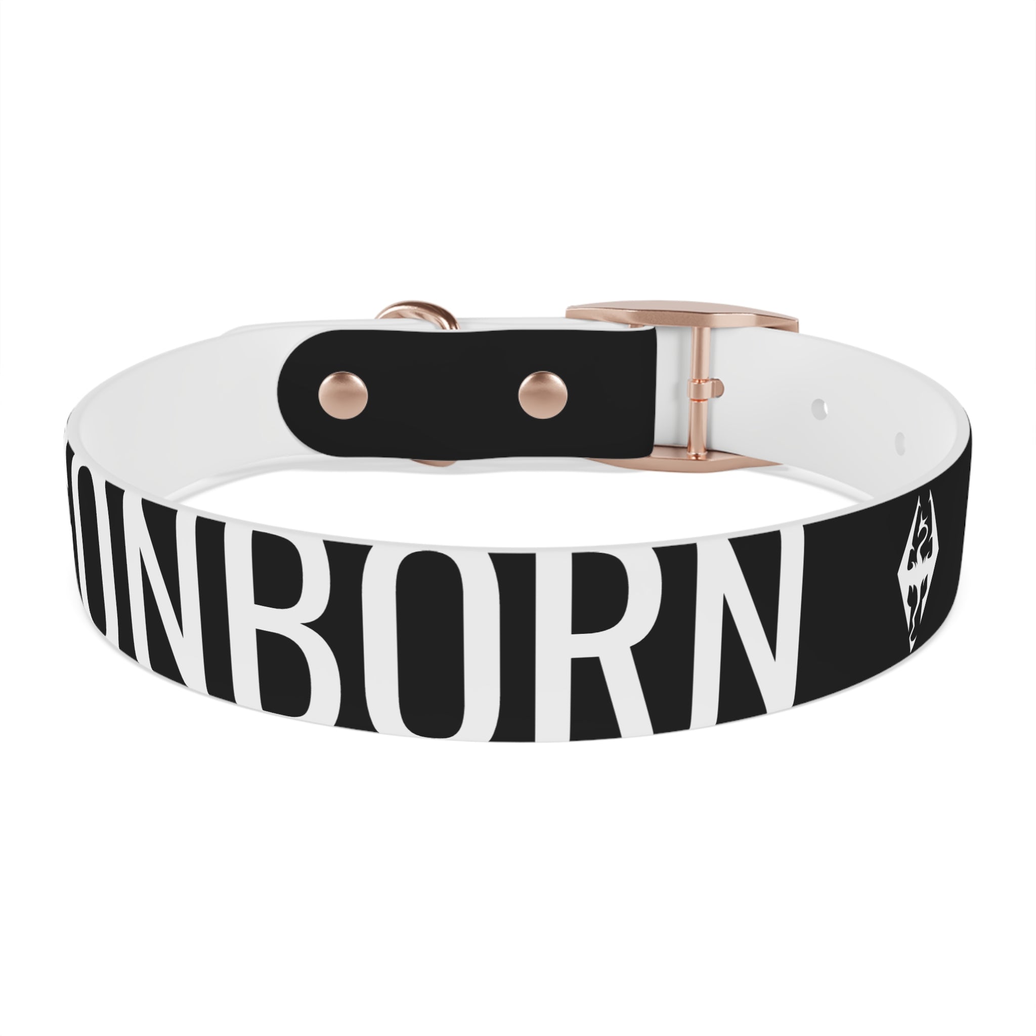 Dragonborn Dog Collar